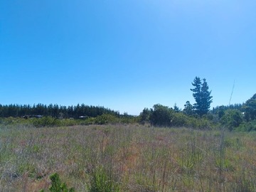 Venta / Parcela / Pichilemu