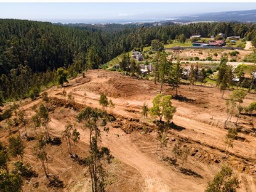 Venta / Parcela / Pichilemu