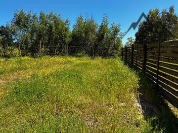 Venta / Parcela / Pichilemu