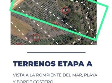 Imagen 6