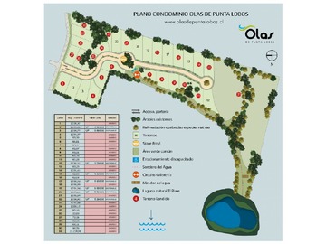 Imagen 41