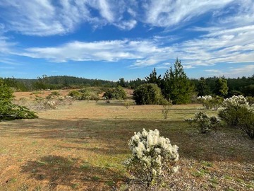 Venta / Parcela / Pichilemu