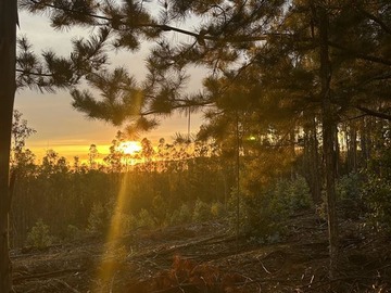 Venta / Parcela / Pichilemu