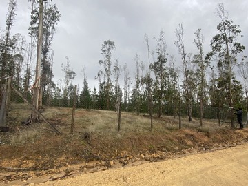 Venta / Parcela / Pichilemu