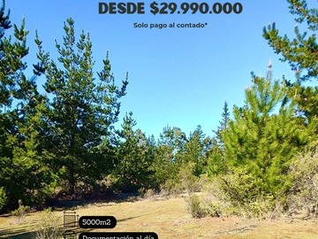 Imagen 6
