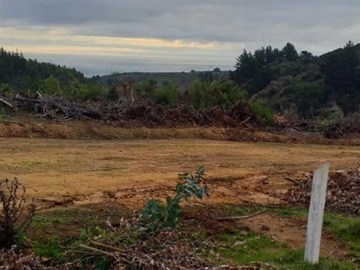 Venta / Parcela / Pichilemu