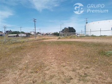 Venta / Parcela / Pichilemu