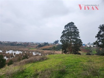 Venta / Parcela / Pichilemu