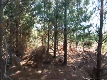 Venta / Parcela / Pichilemu
