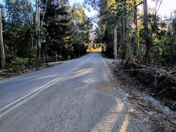 Venta / Parcela / Pichilemu