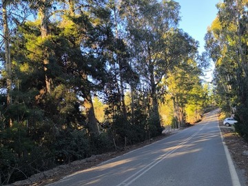 Venta / Parcela / Pichilemu