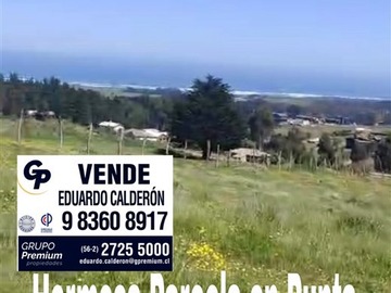 Venta / Parcela / Pichilemu