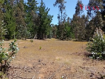 Imagen 5