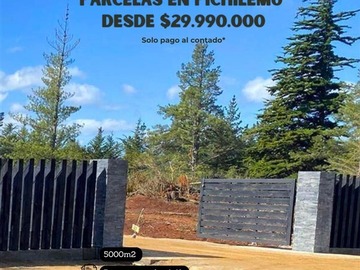 Venta / Parcela / Pichilemu