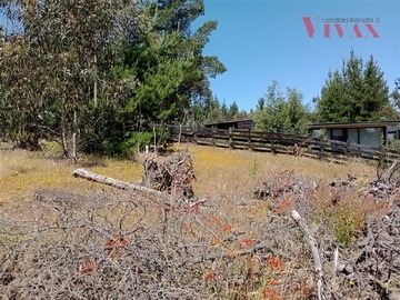 Imagen 8