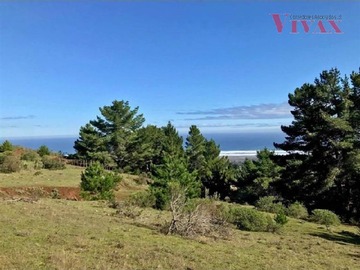 Venta / Parcela / Pichilemu