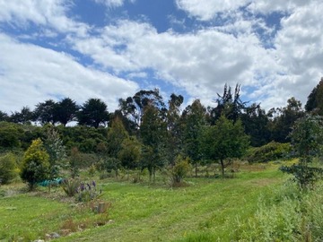 Venta / Parcela / Pichilemu