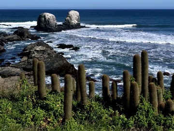 Venta / Parcela / Pichilemu