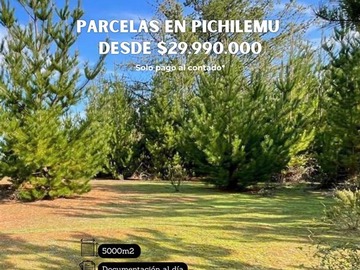 Imagen 8