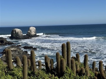 Venta / Parcela / Pichilemu