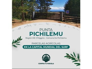 Venta / Parcela / Pichilemu