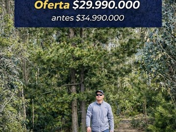 Imagen 24