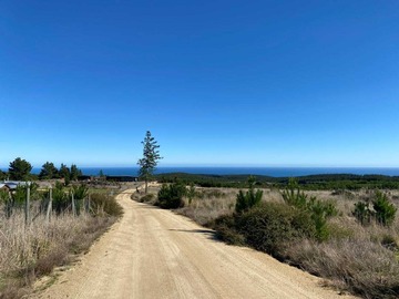 Venta / Parcela / Pichilemu