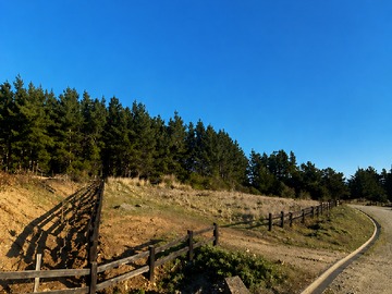 Venta / Parcela / Pichilemu