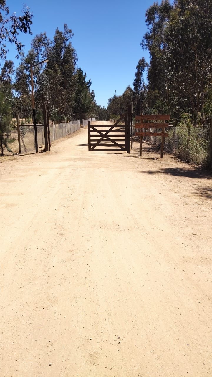 Entrada pasaje