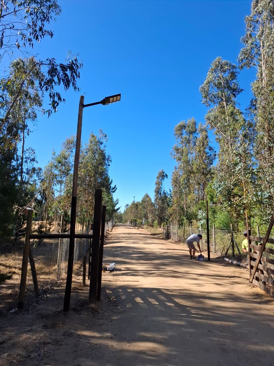 Entrada pasaje