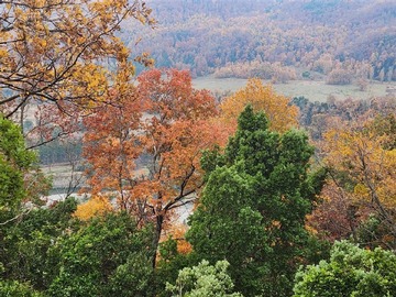 Venta / Parcela / Pinto