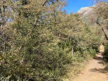 Venta / Parcela / Pinto