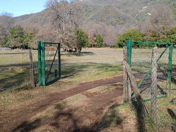 Imagen 6