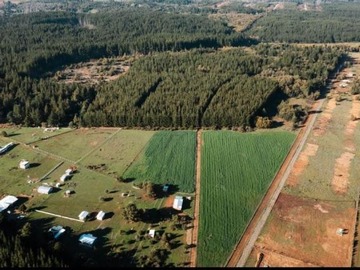 Venta / Parcela / Pinto