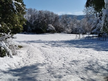 Imagen 14