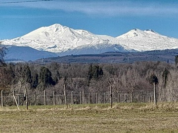Venta / Parcela / Pinto