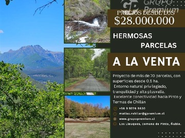 Venta / Parcela / Pinto