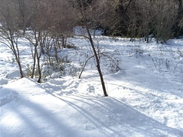 Venta / Parcela / Pinto