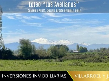 Imagen 3