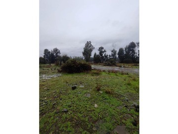 Venta / Parcela / Pirque