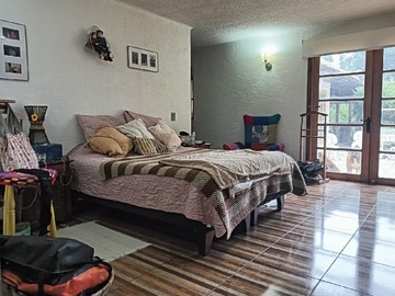 Imagen 6