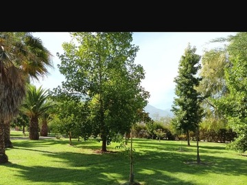 Imagen 16