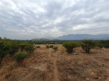 Imagen 6