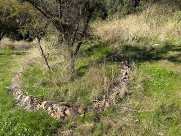 Imagen 17