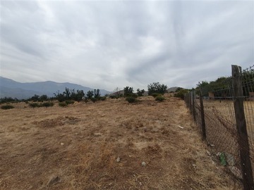 Imagen 5