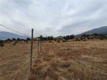 Imagen 8