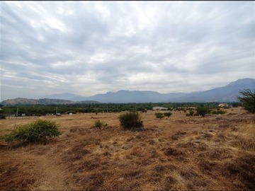 Imagen 9