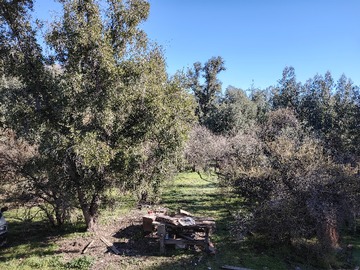 Venta / Parcela / Pirque