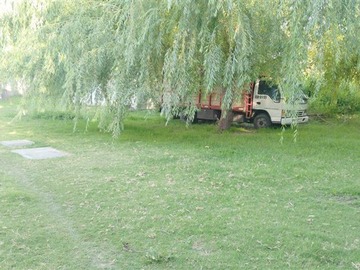 Imagen 9