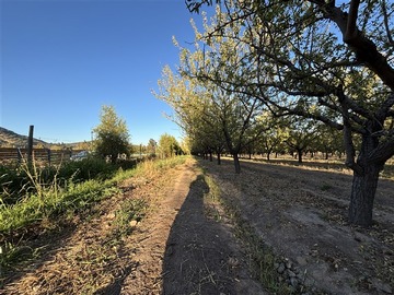 Venta / Parcela / Pirque